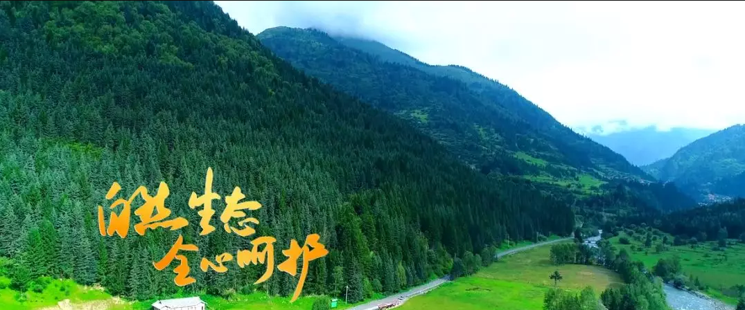 1576720868871565.jpg 1576720461(1).jpg