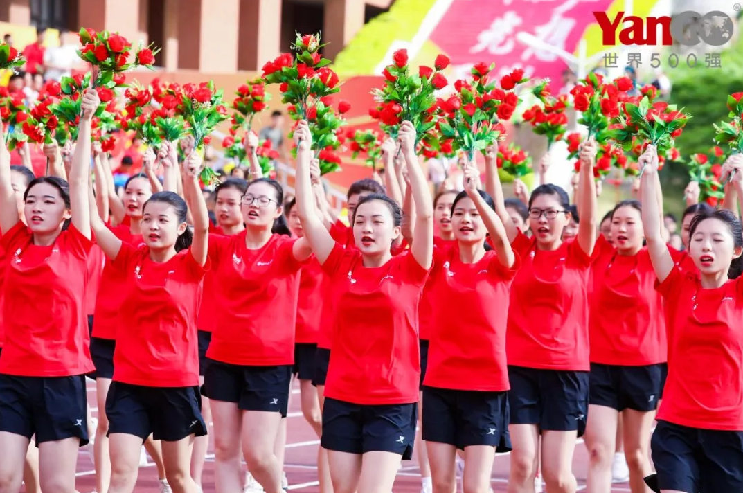 1576725206793376.jpg 1576724793(1).jpg