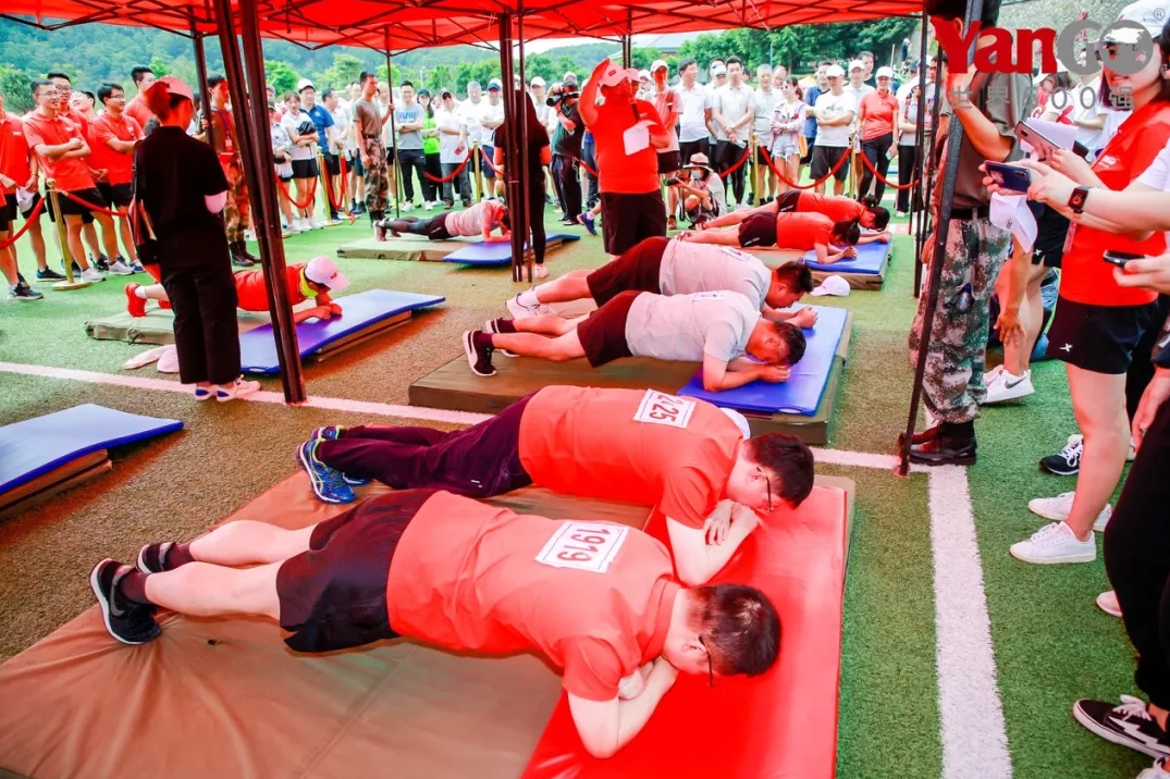 1576727860128411.jpg 1576727455(1).jpg