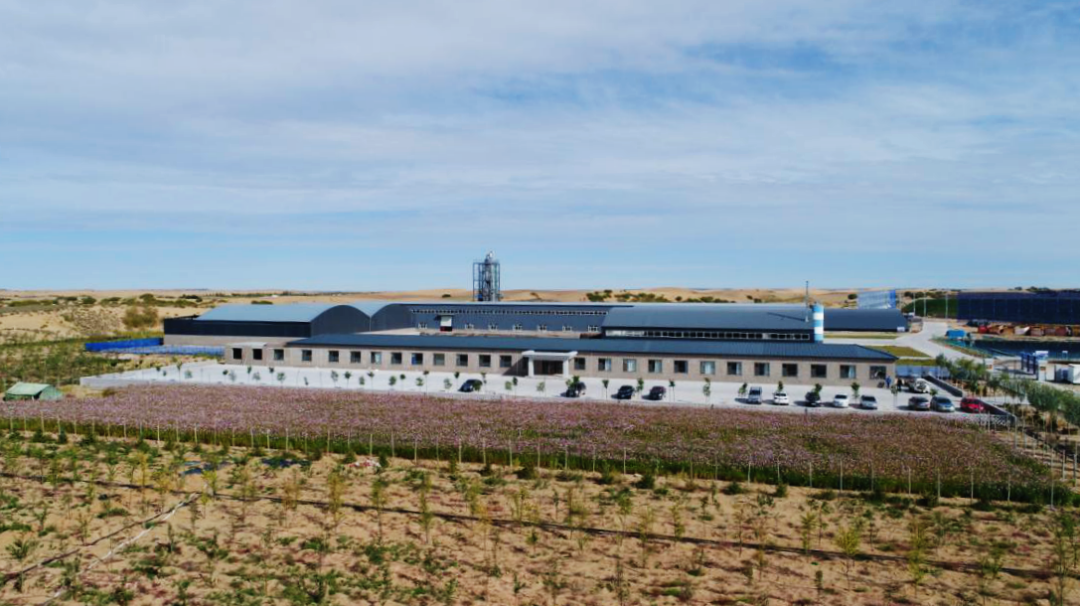 1599816348657999.png a.png