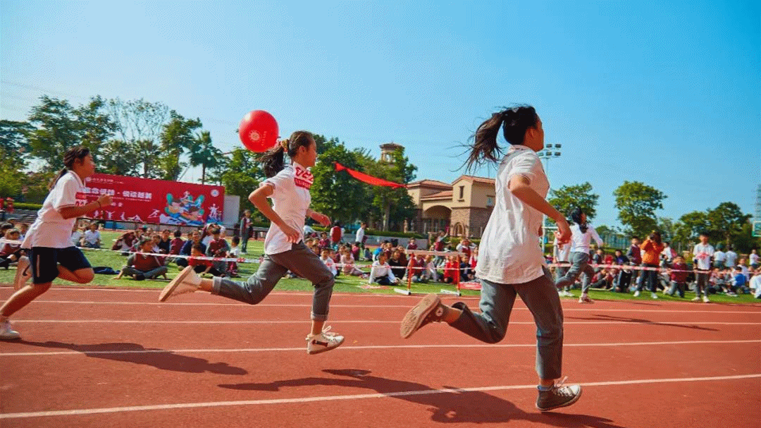 1609817115855503.gif l.gif