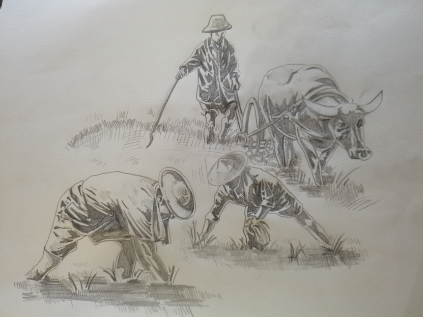 1628753120397962.png 2.png