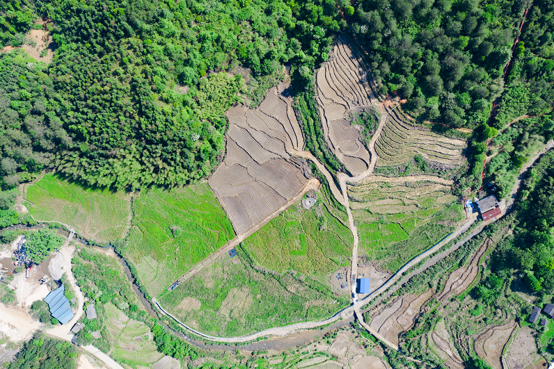 1628822089940365.png 5.png